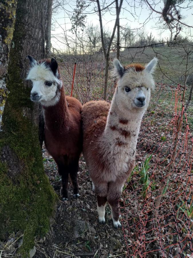Kanahau Cambayrac Zewnętrze zdjęcie